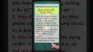 Bí Kíp Khỏe Mạnh Của Người Xưa | Khỏe quá trời ơi! #khoequatroioi #songkhoemoingay #songtho
