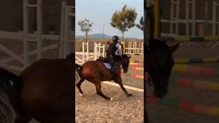 This is how the air vest works  #equestrian #gilaryeq #horse #showjumping #girlrider #fy #fyp