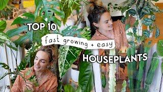 10 Fast Growing EASY Indoor Plants  Easiest + Fastest Growing Houseplants