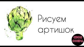 Рисуем артишок. Скетчинг. Арт-студия «Своя сфера». Творим без границ! Как научиться рисовать?