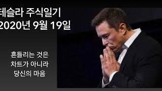 테슬라 주식일기 200919, 흔들리는 것은 우리의 마음일 뿌ㄴ
