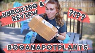 Rare Plant Unboxing & Review | Indonesia | boganapotplants