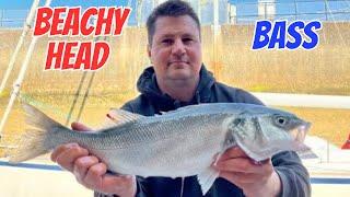 Bass on lures at Beachy Head ledges while surrounded by commercial fishing friends on a busy day