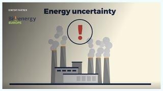 Bioenergy Explained - Energy Security with Biomass