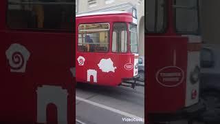 Tramvaie ale ctp Iași (11.11.2024)