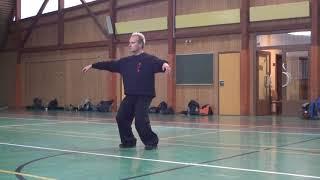 Tai Chi Chen Xiaowang 9 movements form with Master Jan Silberstorff (2013)