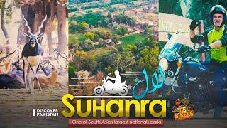 Explore One of South Asia's Largest National Park "Lal Suhanra" | De-Bikers