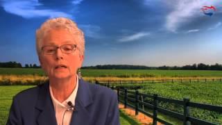 Ann Corcoran on Refugee Resettlement