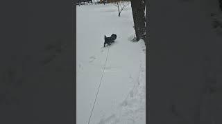 В апреле пришла Зима!