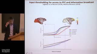 Computational Neuroscience of Elemental Cognition (4) - Stanislas Dehaene (2018-2019)