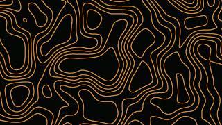 Topographic Map | Topographic Textures | Animated Background |FREE Download