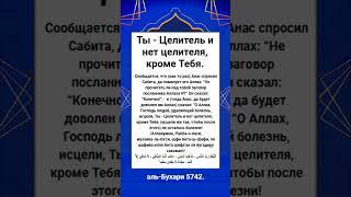 Ты - Целитель и нет целителя, кроме Тебя.