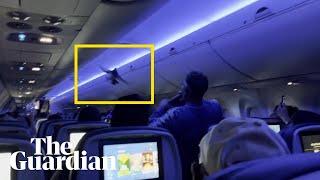 Pigeon causes chaos on Delta Air Lines flight