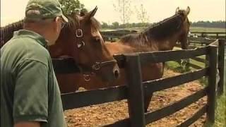 Kentucky Farm Bureau's Bluegrass & Backroads: Old Friends Retirement Home