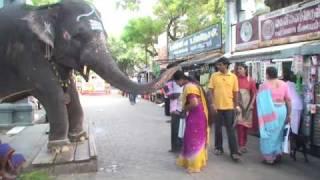 Insight Reisen: Tempel in Südindien