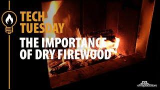 Tech Tuesday: The Importance of Dry Firewood- eFireplaceStore