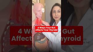  The Gut-Thyroid Connection Nobody Talks About