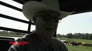 Arkansas Cattle Ranch For Sale