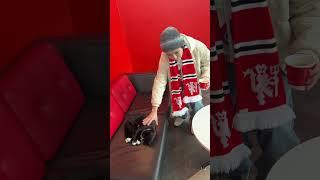 Manchester United F.C. Update: Luhan's love for cat