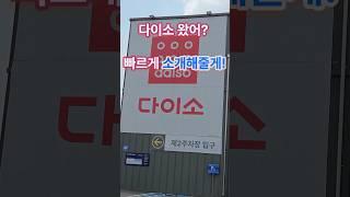 다이소 품절 예상 추천템 - 25년 6월 최신 #다이소 #다이소신상 #다이소템
