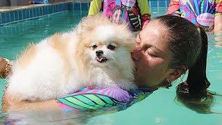 SERÁ QUE A CACHORRINHA BELINHA SABE NADAR NA PISCINA? * Mileninha *