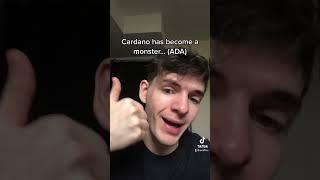 Cardano is becoming a monster #cardano #ada #crypto