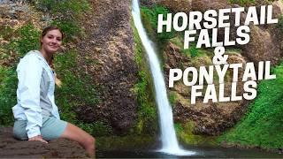 Beautiful Places to Visit in Oregon Horsetail Falls & Ponytail Falls