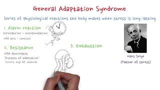 General Adaptation Syndrome (GAS)