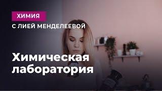 Оборудование для химической лаборатории | ЕГЭ Химия | Лия Менделеева