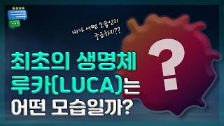 [질문과 토론의 과학 #4] 최초의 생명체 루카(LUCA)는 어떤 모습일까?