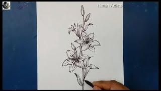 Lily Flower Draw and painting || How to draw Lily