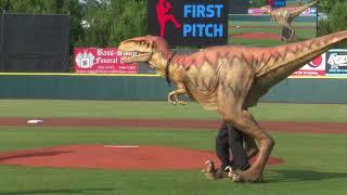 Welcome to Hickory Crawdads Baseball