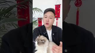 猫狗新年礼物，你准备了吗？养猫经验分享 新手养猫 科学养宠攻略 宠物金锁  养猫人