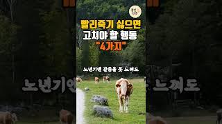 빨리 죽기 싫으면 고쳐야 할 행동 4가지  #노년건강 #감동글귀 #명언 #삶의지혜 #인생조언 #좋은글