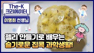 젤리 만들기로 배우는 슬기로운 과학 생활! [The-K 크리에이터]