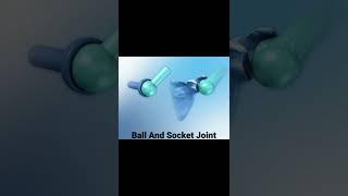 Ball And Socket Joint 