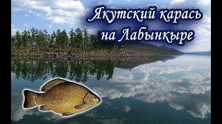 Якутский карась. Русская Рыбалка 3.99.