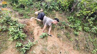 "27 năm 'đi bằng tay': Nghị lực thép của chàng trai khuyết tật khiến triệu người cúi đầu khâm phục!"