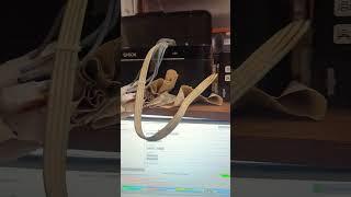 Автоматизация прочистки печатающей головки принтера