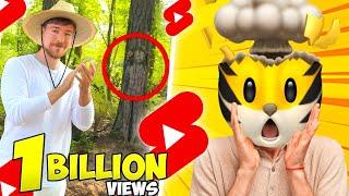 1 BILLION VIEWS SHORTS ON YOUTUBE | Mr Chandu