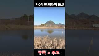 저수지 코앞 도심지 땅647평 몽땅 2500만원