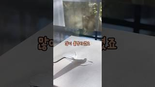 인생 교훈!