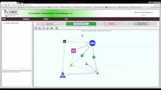 PlantSimLab Turorial #2. - Experimental Setup and Dynamical Network Analysis