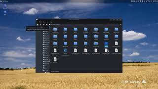 Installed MX Linux 19 RC1