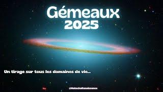 Gémeaux ️ Guidances pour votre année 2025 ⭐️