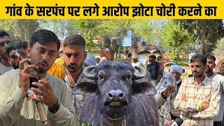 पनिहारी गांव का बड़ा मामला सामने आया मौके के सरपंच पर गांव का पंचायती झोटा बेचने का आरो"प