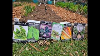 Planting Kale & Swiss Chard! YOU GOT THIS! PT1 #gardening #plantingseed #backyardgardening #planting