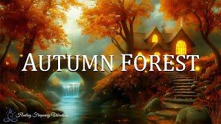 Healing Autumn Forest Ambience |  396Hz + 528Hz - Miracle Tone | Calm, Grounding & Emotional Rene...