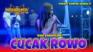 CUCAK ROWO - Icha Caroline - OM NIRWANA Live Jatirejo Mojokerto