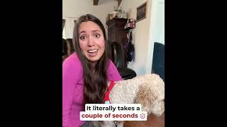 Dog Friendly Co TikTok Testimonial UGC